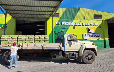 diseño sin título (19)