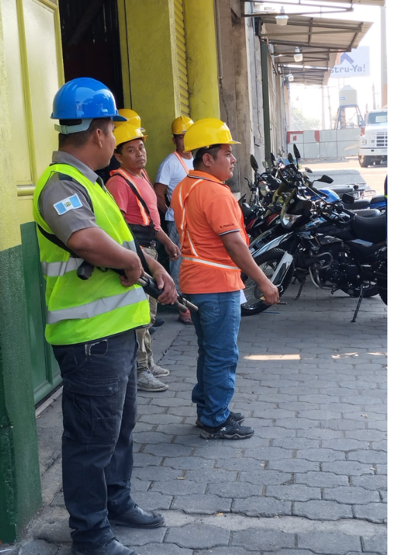 sso el pedregal del sur